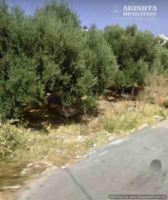 Screenshot_20230307-121434_Maps.jpg